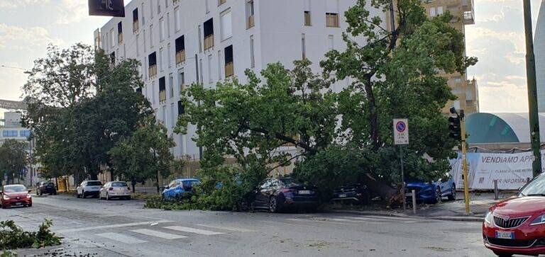 Danni per il maltempo a Milano, traffico in tilt: Aci chiede di sospendere Area B e Area C milano 768x363