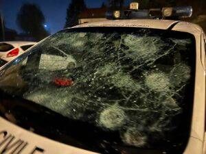 protezione civile cogliate 300x225