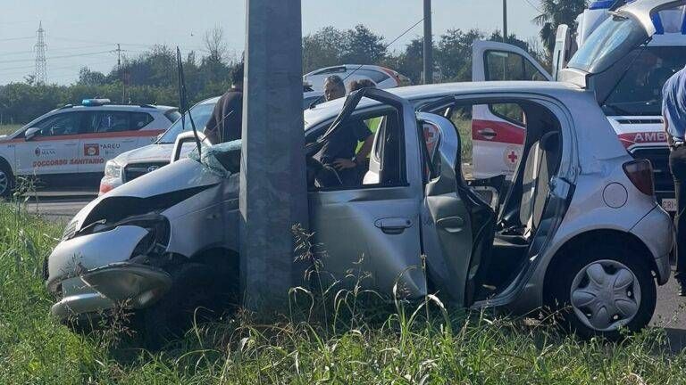 4395f8aa 7e77 4c2c 9950 79e5b31960a4 768x432