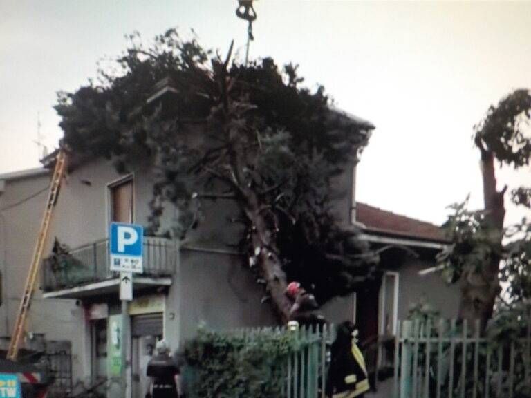 FOTO CORM casa sotterrata da un pino 768x576