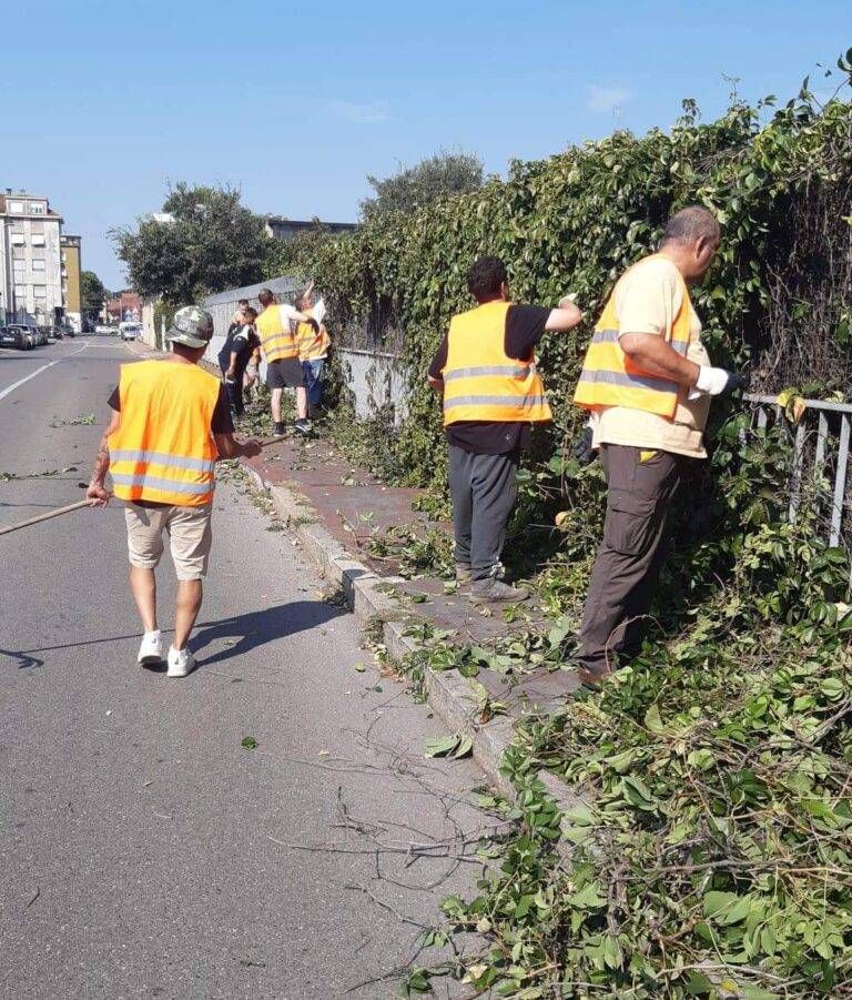 La Prociv di Bresso ripulisce i tratti della citta e1692695574428 768x901
