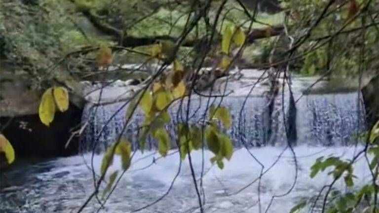 Cascate a Ceriano? Parco Groane: “Sono fuori dal nostro perimetro; qui la balneazione è vietata” cascate ceriano laghetto 2 768x432