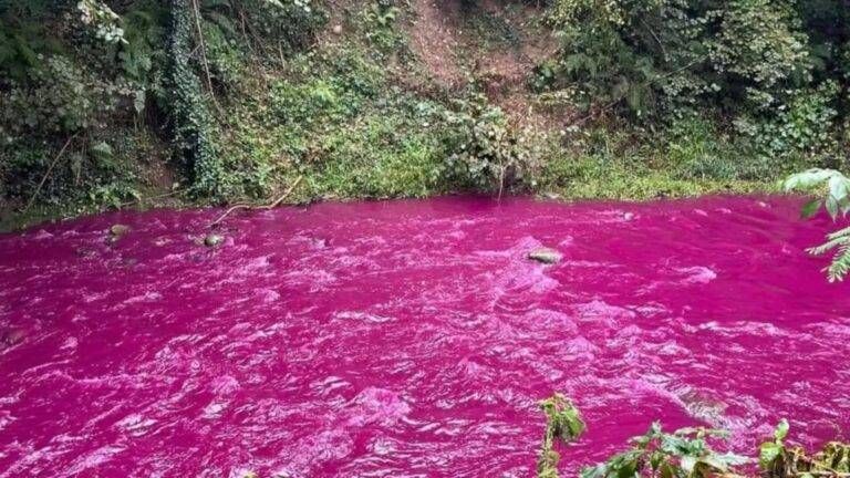 Immagine WhatsApp 2023 09 23 ore 15.22.26 768x432