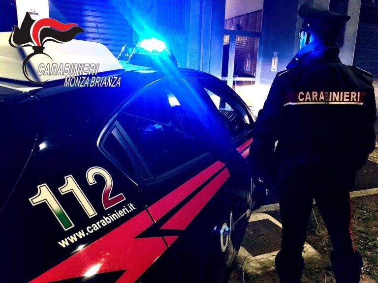Mozzate, ladri in cantina, proprietario li insegue e ne blocca uno con i carabinieri carabinieri donna cogliate