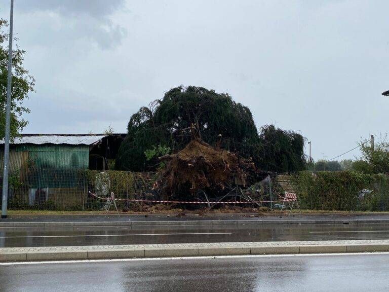 grandine saronno danni scuole 768x576