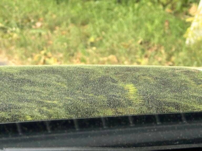 polvere gialla che cos e 768x576