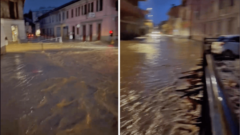 taro meda esondato 768x432