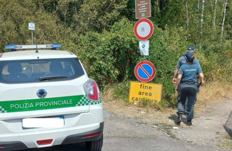 Cogliate droga bosco