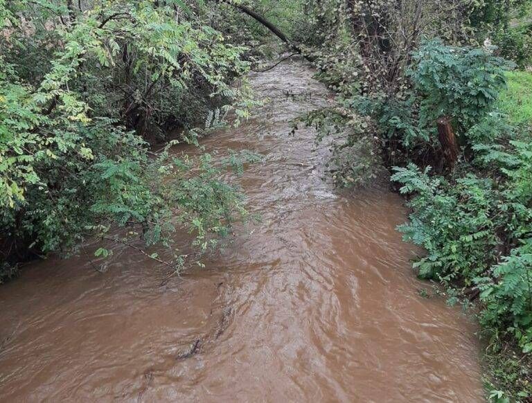Disagi per la pioggia a Gerenzano, Uboldo e Origgio: Bozzente in piena, acqua nelle case senza i tetti Immagine WhatsApp 2023 11 03 ore 10.13.48 c940250e 768x582