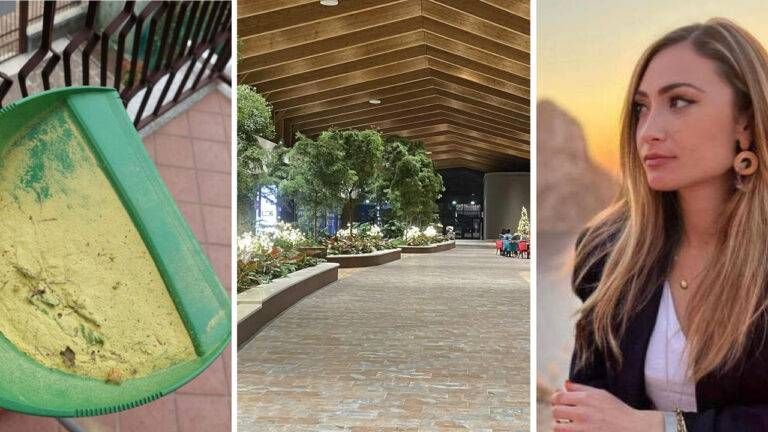 10 notizie 2023 768x432