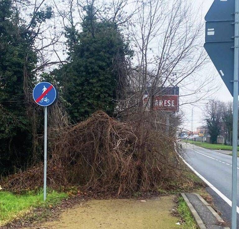 Bollate ciclabile interrotta Arese