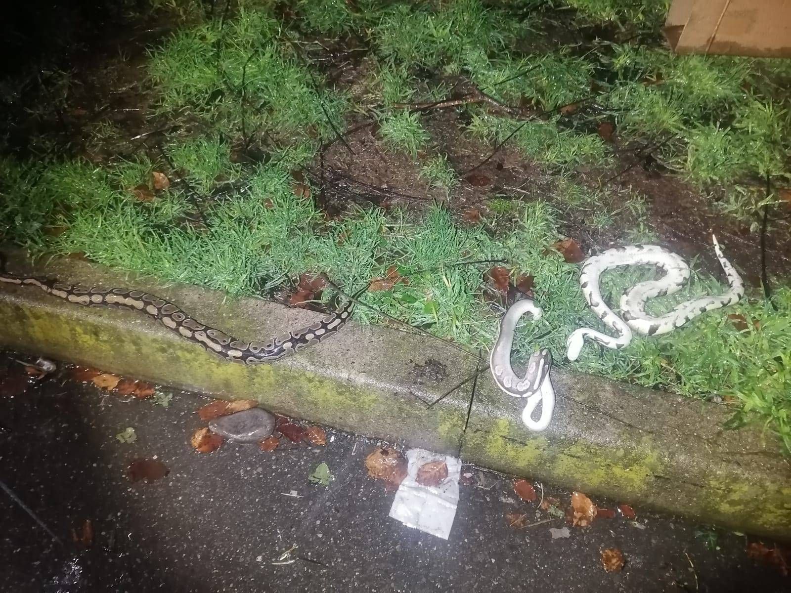 Immagine WhatsApp 2024 01 05 ore 18.47.31 61f4b85f