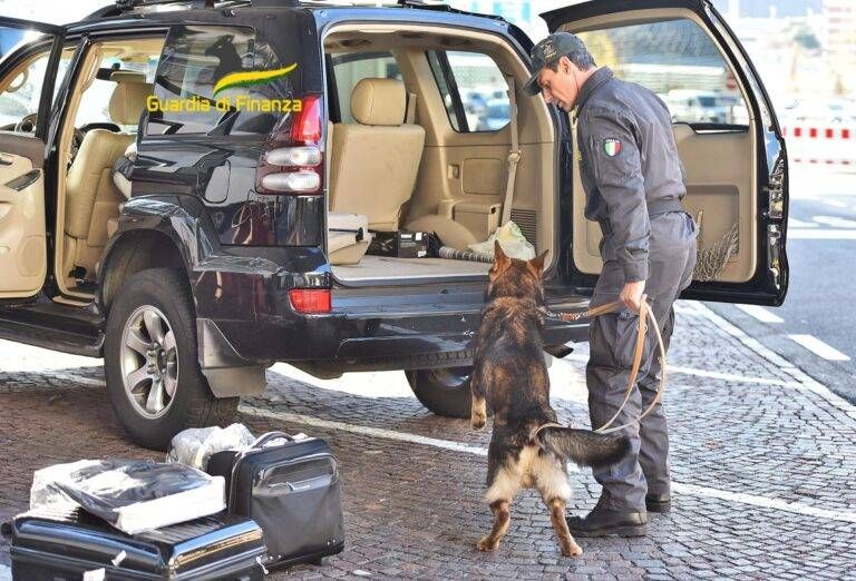 Centomila euro nelle mutande, fermato in dogana: in un anno intercettati 15 milioni di euro tra Italia e Svizzera finanza dogana centomila euro mutande