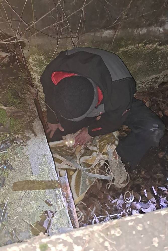 photo 2024 01 23 22 49 15