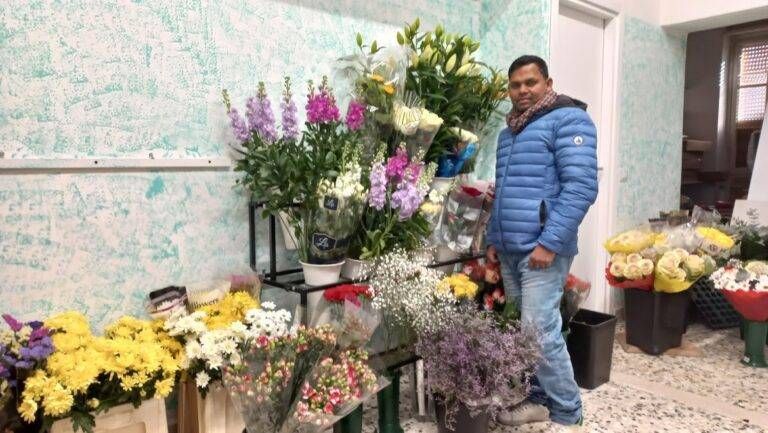 cogliate fiori abdul