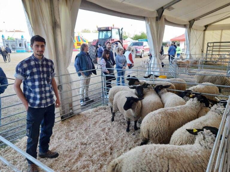 Immagine WhatsApp 2024 02 01 ore 14.34.16 6dad1af5 768x576