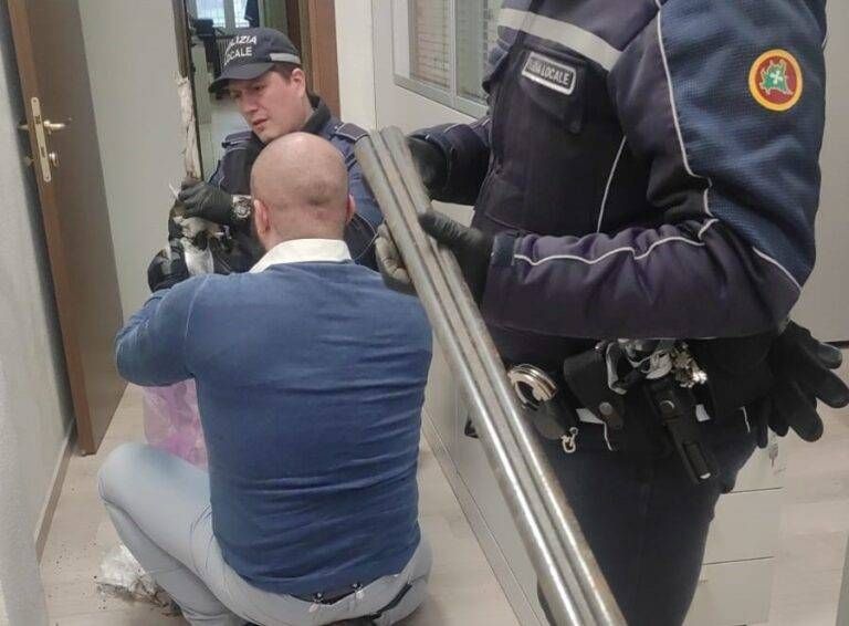 Immagine WhatsApp 2024 02 25 ore 08.28.50 5f80c8b2 768x566