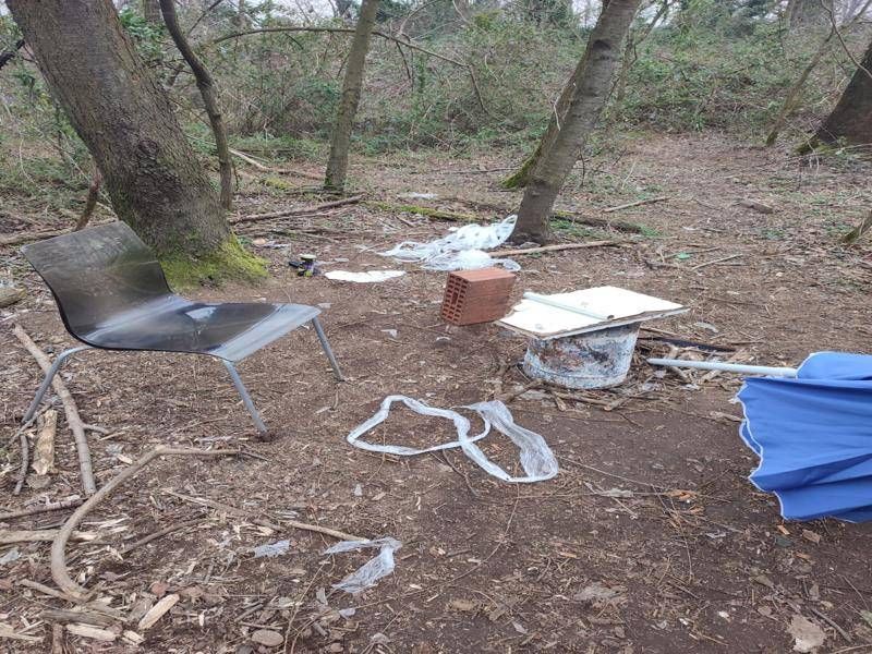 Immagine WhatsApp 2024 02 22 ore 14.37.37 28c87f58 800x600 1