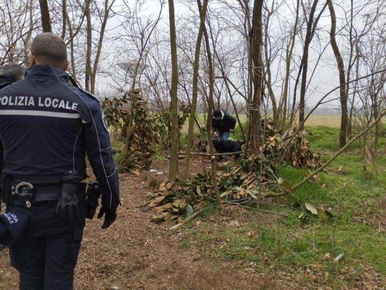 Immagine WhatsApp 2024 02 22 ore 16.33.27 c22bf9b2 800x600 1 768x576