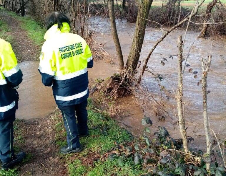 Maltempo e pioggia, a Origgio e Uboldo il Bozzente rompe gli argini: a rischio l’A8 Immagine WhatsApp 2024 03 10 ore 16.37.32 f13e16e8 768x596