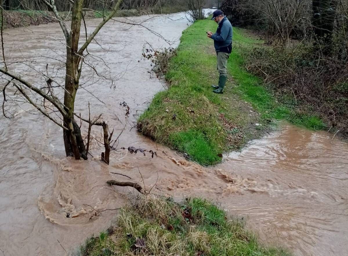 Immagine WhatsApp 2024 03 10 ore 17.39.05 d59077fb