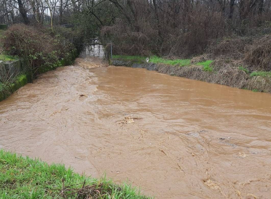 Immagine WhatsApp 2024 03 10 ore 19.46.43 d67285c7