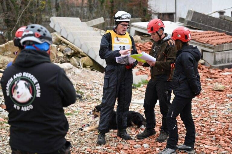 cogliate sfide cani da soccorso