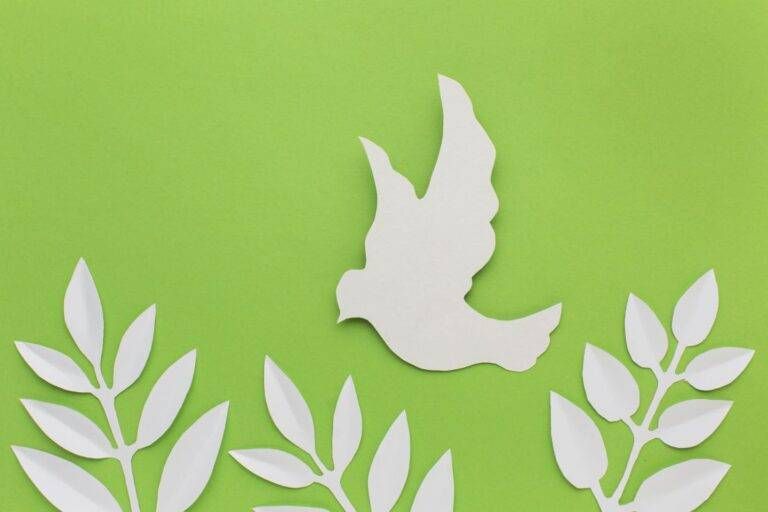 colomba pace 768x512