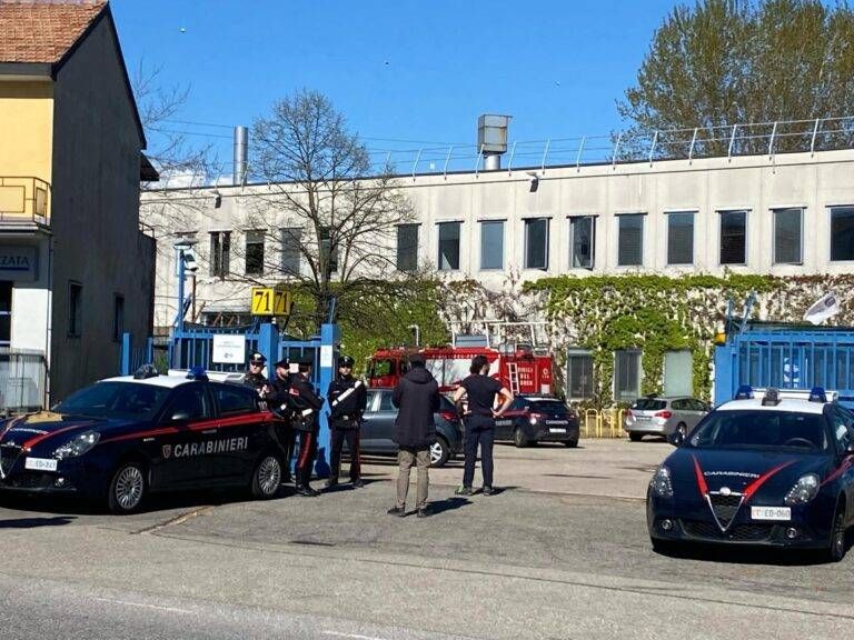 rita trevisan conferma figlio