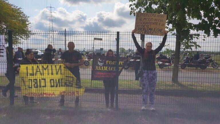 Immagine WhatsApp 2024 04 25 ore 14.57.10 5dfd992b 768x432