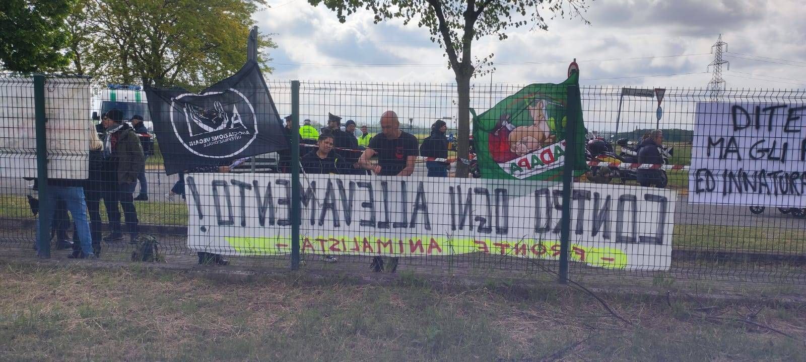 Immagine WhatsApp 2024 04 25 ore 14.57.10 67fd1edf