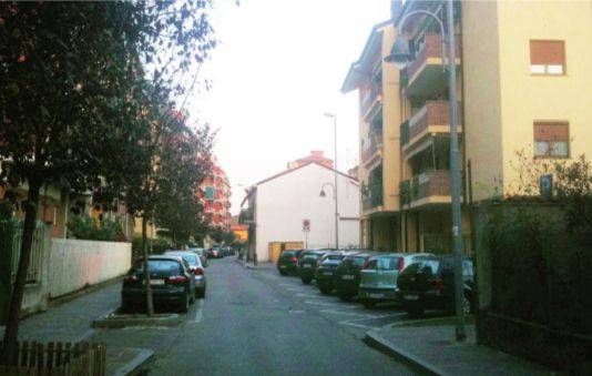 Baranzate, primo caso di virus Dengue Baranzate caso virus Dengue