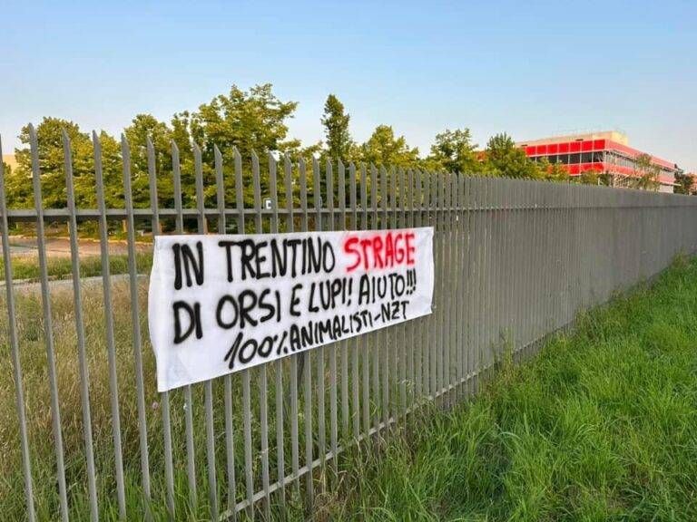 Blitz animalista a Origgio: “In Trentino ammazzano orsi e lupi” animalisti 768x576