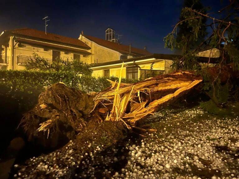 tassa rifiuti balzello