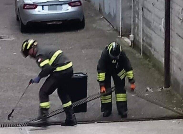 Baranzate serpenti Quartiere Florida