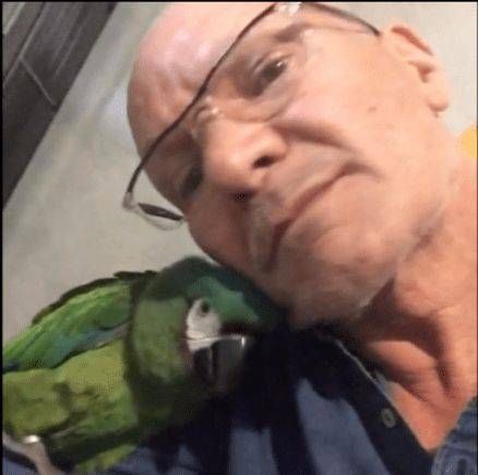 Cusano, ecco perchè D’Errico è stato condannato a 24 anni per l’omicidio del padre Cusano D’Errico 24 anni omicidio