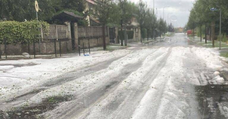 Immagine WhatsApp 2024 06 11 ore 20.14.21 6901c7fc 768x402