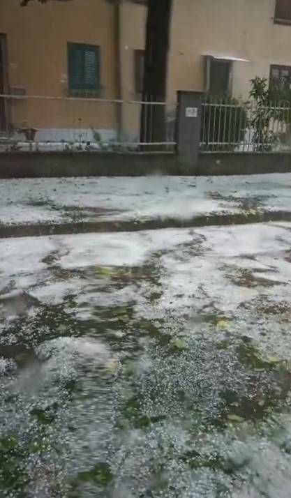 Immagine WhatsApp 2024 06 11 ore 21.20.56 7fa2b1b0DDDDccccDDDD