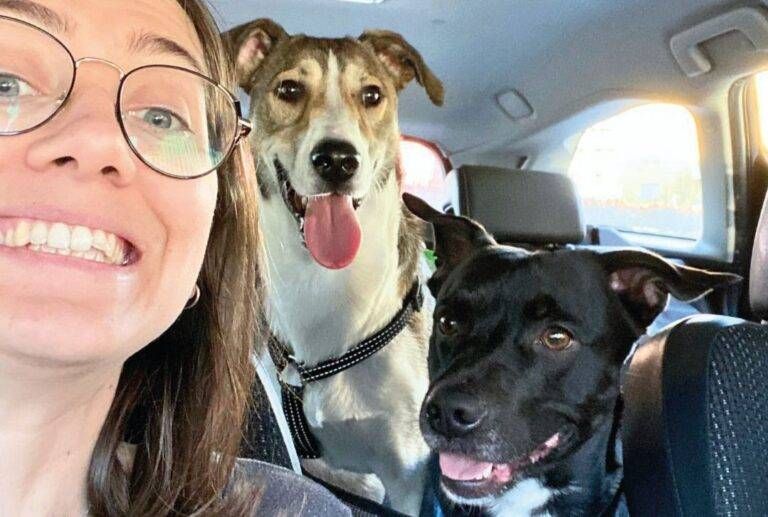 Novate Veronica canile Arese