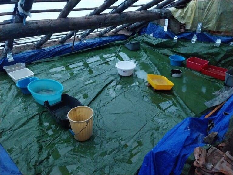 tetti secchi 768x576