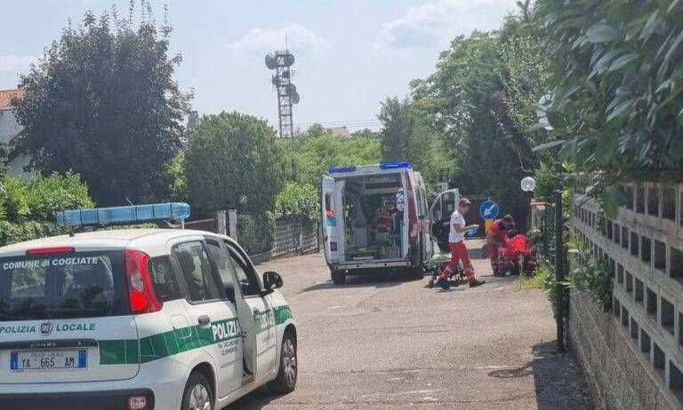 cogliate uomo nudo bosco