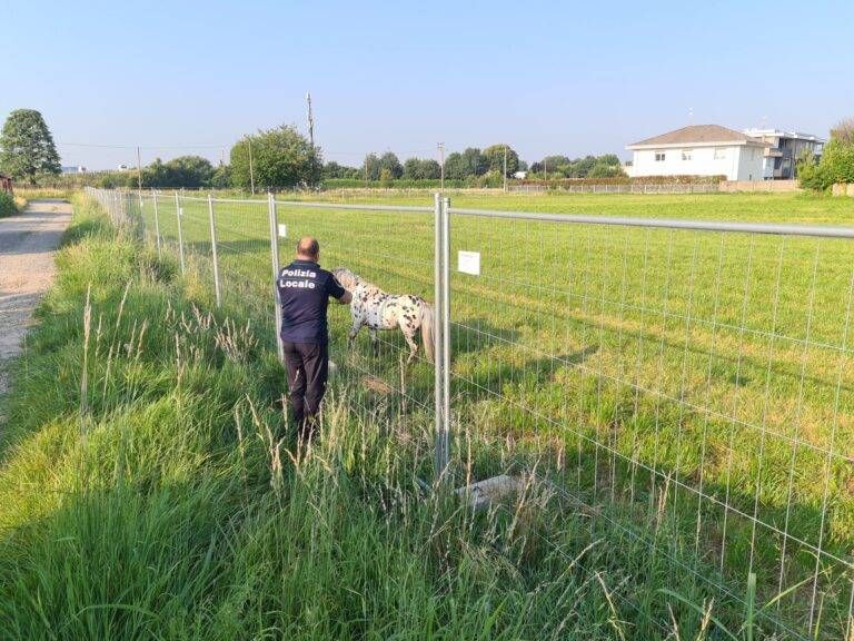 IMG 20240712 WA0004 768x576