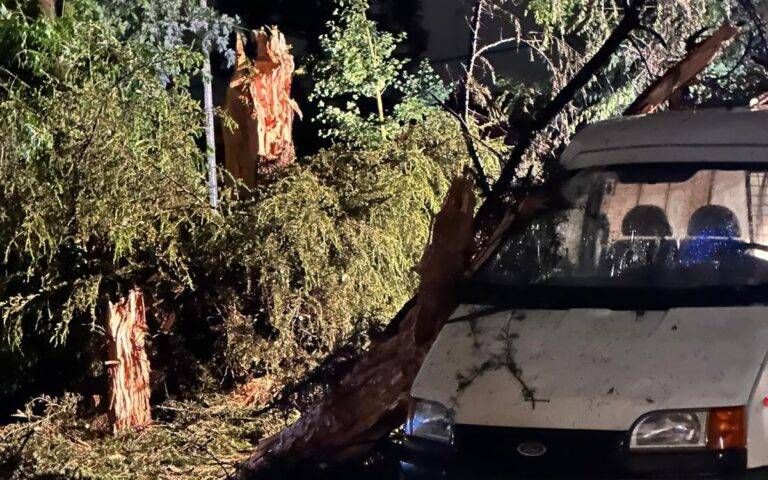 Immagine WhatsApp 2024 06 11 ore 14.21.15 accfa51f 1 768x480