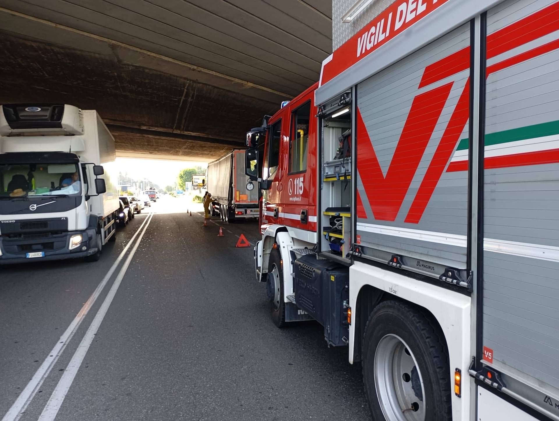 Immagine WhatsApp 2024 07 16 ore 09.12.02 92d5e230