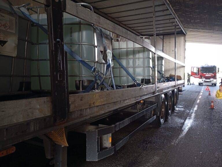 Immagine WhatsApp 2024 07 16 ore 09.19.25 67fb20ac 768x578