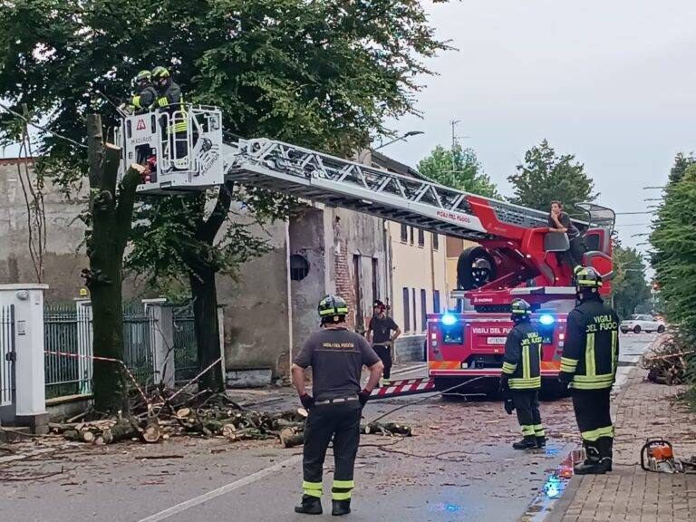 Maltempo a Caronno: strade allagate, precipitano alberi Immagine WhatsApp 2024 07 19 ore 20.33.37 3cb2be42 768x576