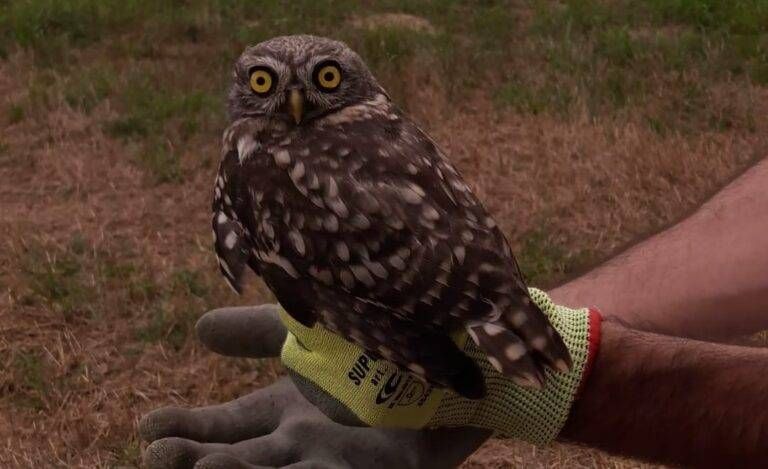 453750873 810046511316300 8280253015544708950 n 768x469