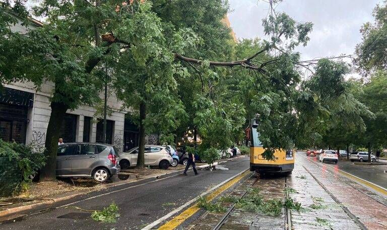 Immagine WhatsApp 2024 08 07 ore 18.57.30 9f7d87b8 768x456