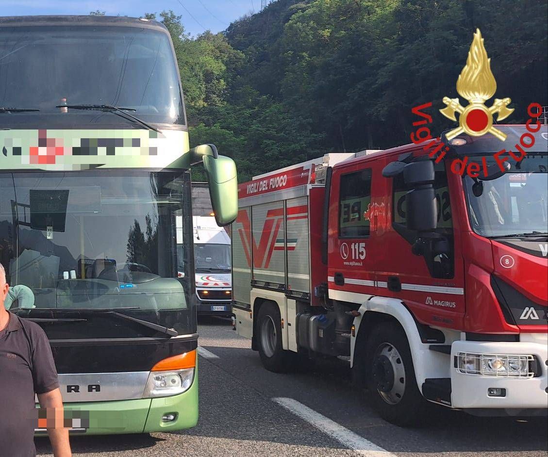 Immagine WhatsApp 2024 08 08 ore 18.57.50 e841ae0a