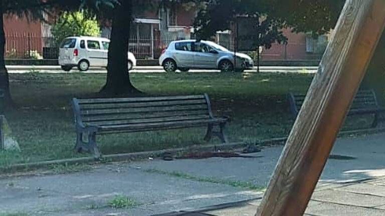 Bollate, trovato morto sulla panchina: giallo nel parco di Cassina Nuova morto bollate parco cassina nuova 768x432